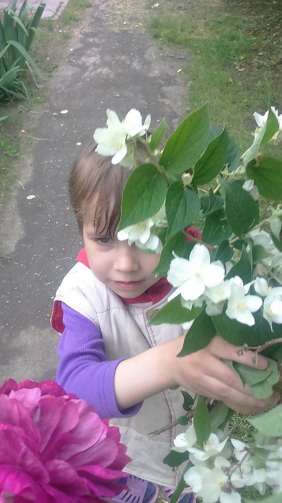 Photograph by Дарья Тараданова