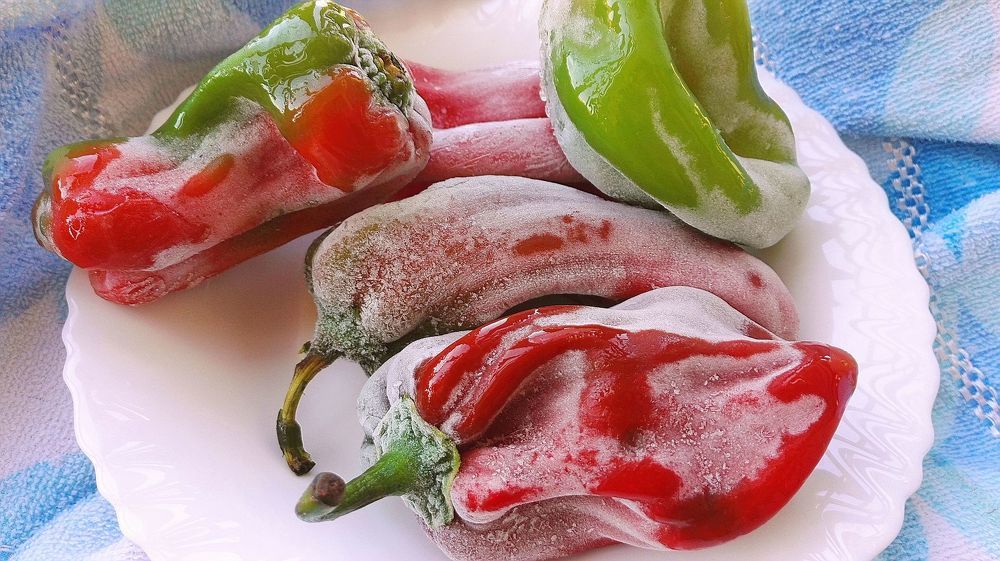 stylish winter capsicum