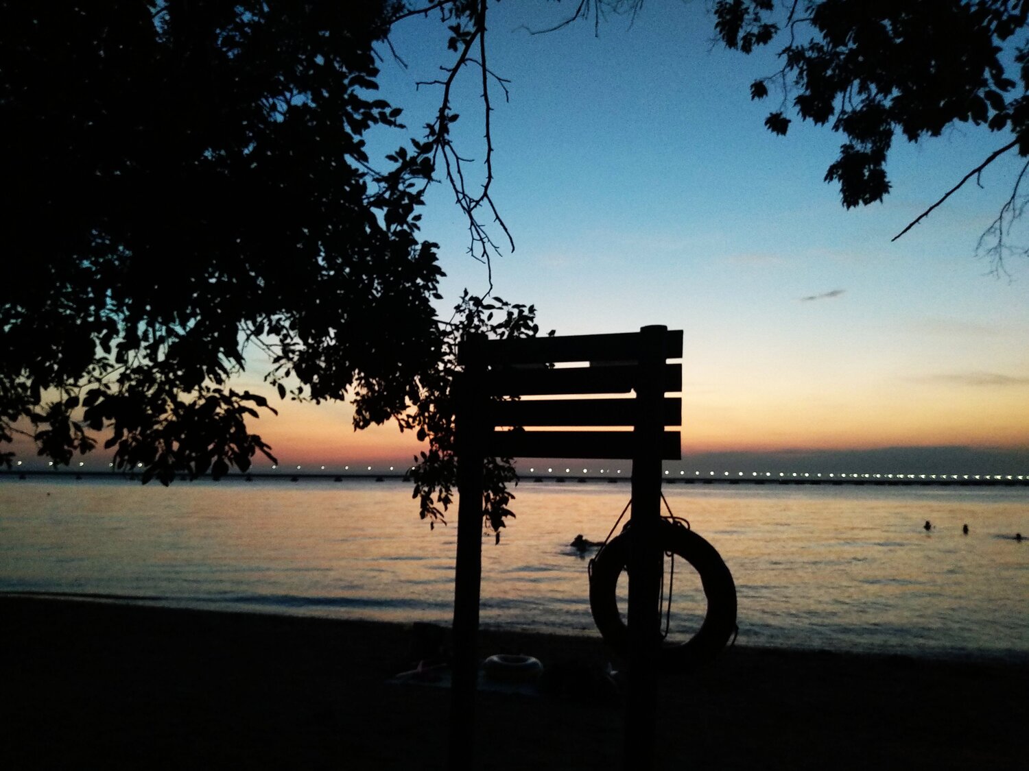 Photo #2479432