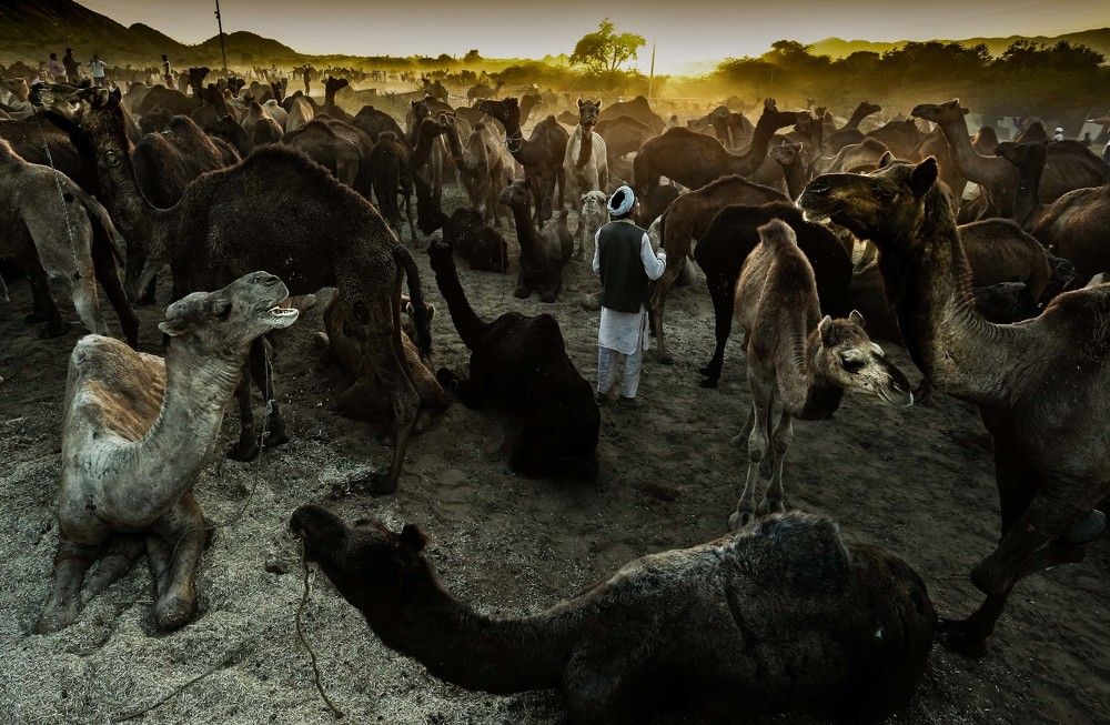 Photograph by Nazar-Edapal