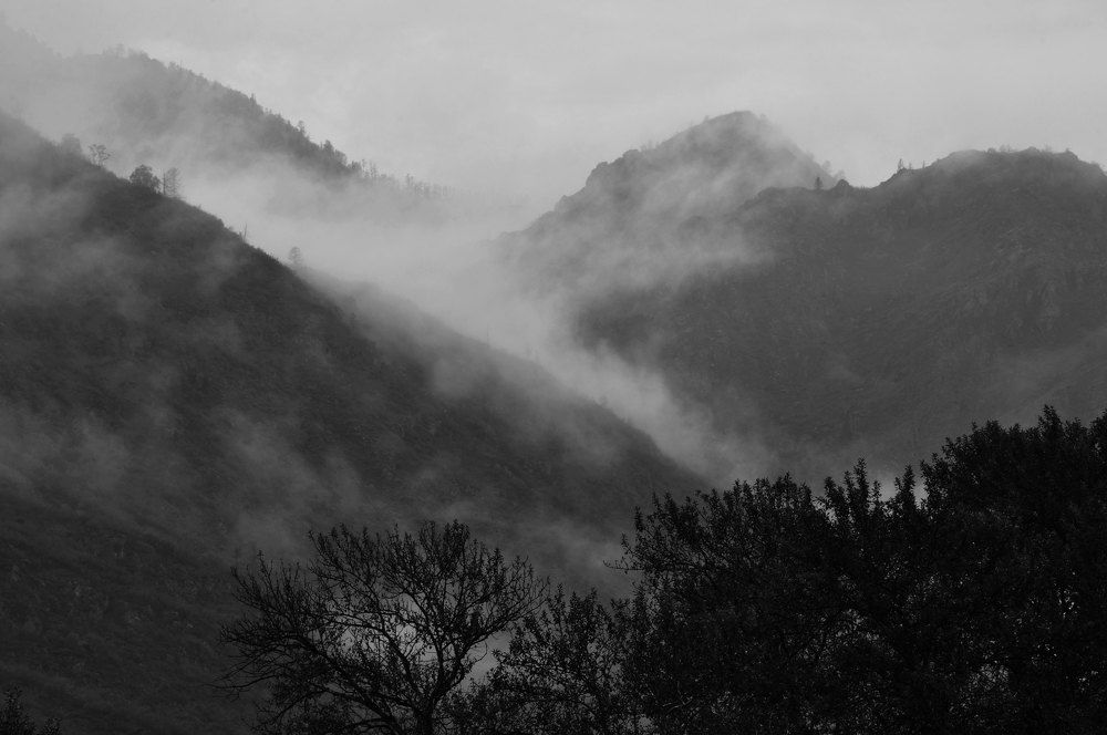 Туман в горах Алтая