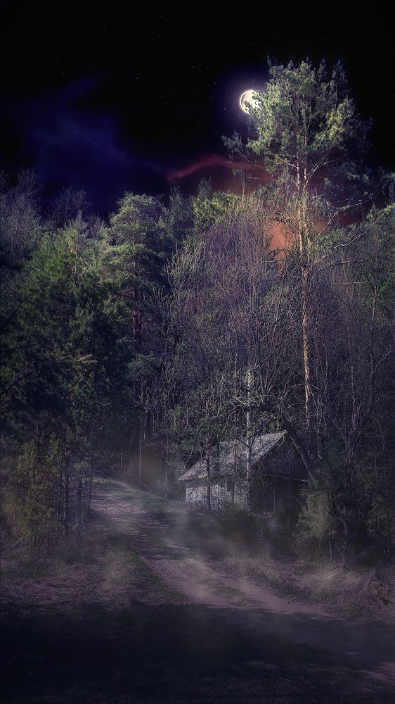 Ночь в весеннем лесу