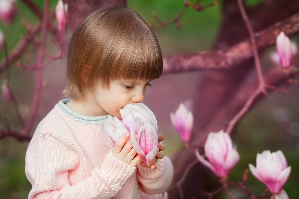 сказочная магнолия