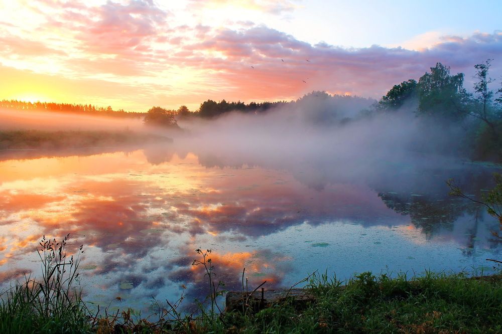 Приходил туман украдкой Рано утром, на заре