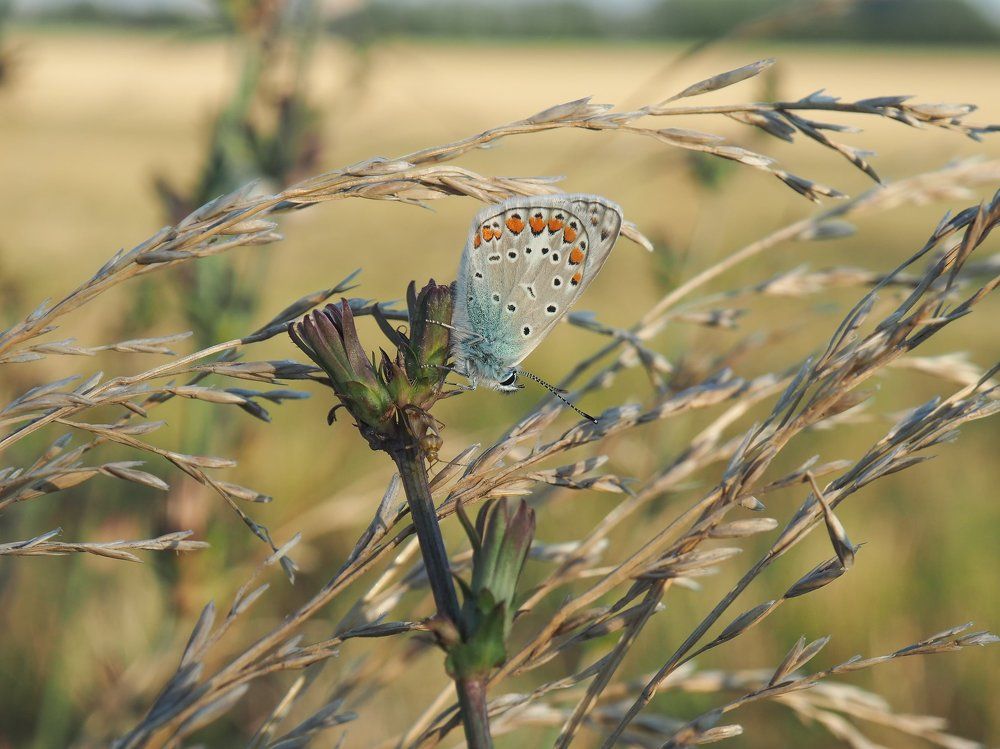 Photograph by Дмитрий