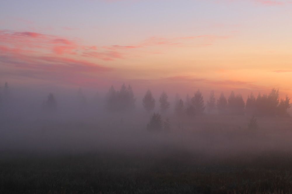 Приходил туман украдкой, рано утром, на заре