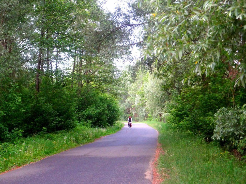 На дороге среди природы