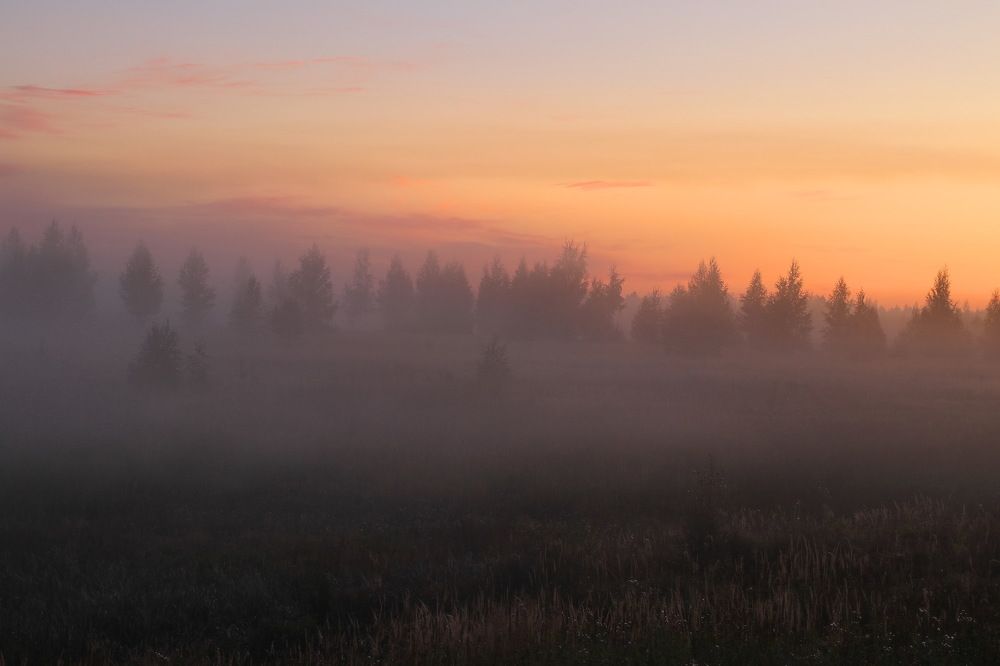 Приходил туман украдкой, рано утром, на заре