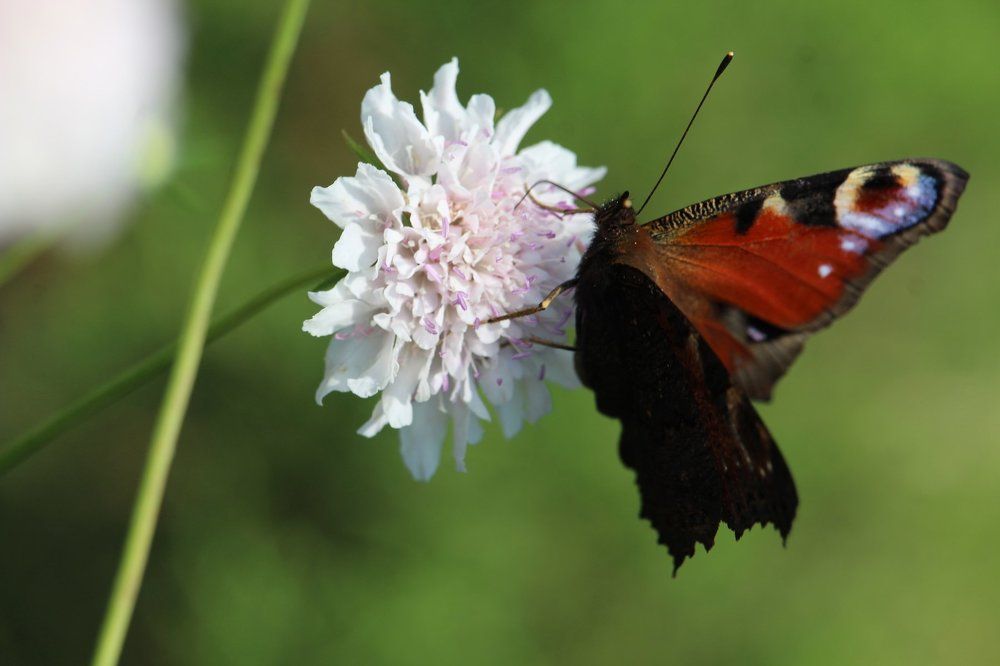 Секунда до взлёта