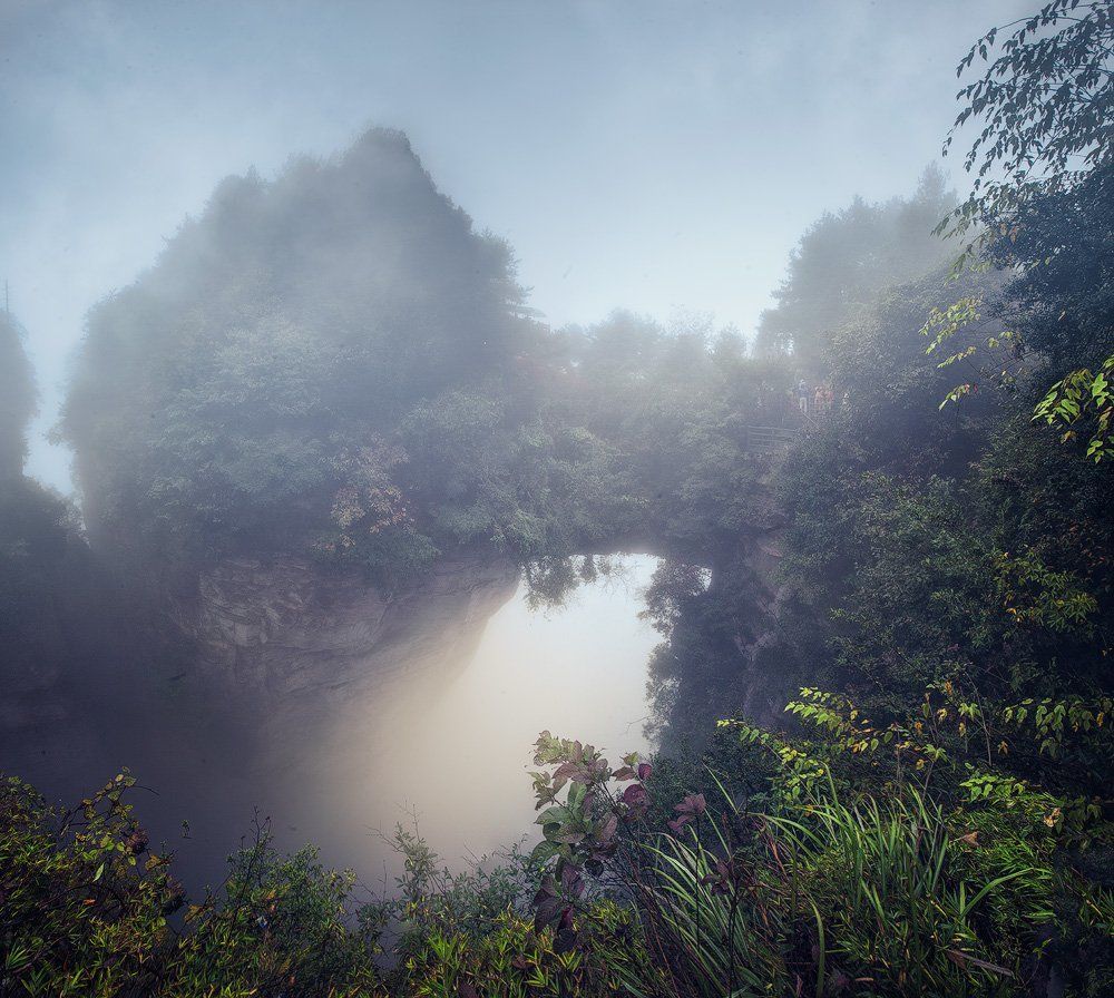 Туманный парк Аватар