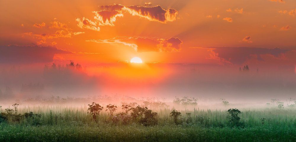 Туманное утро