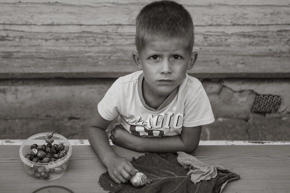 Малакология