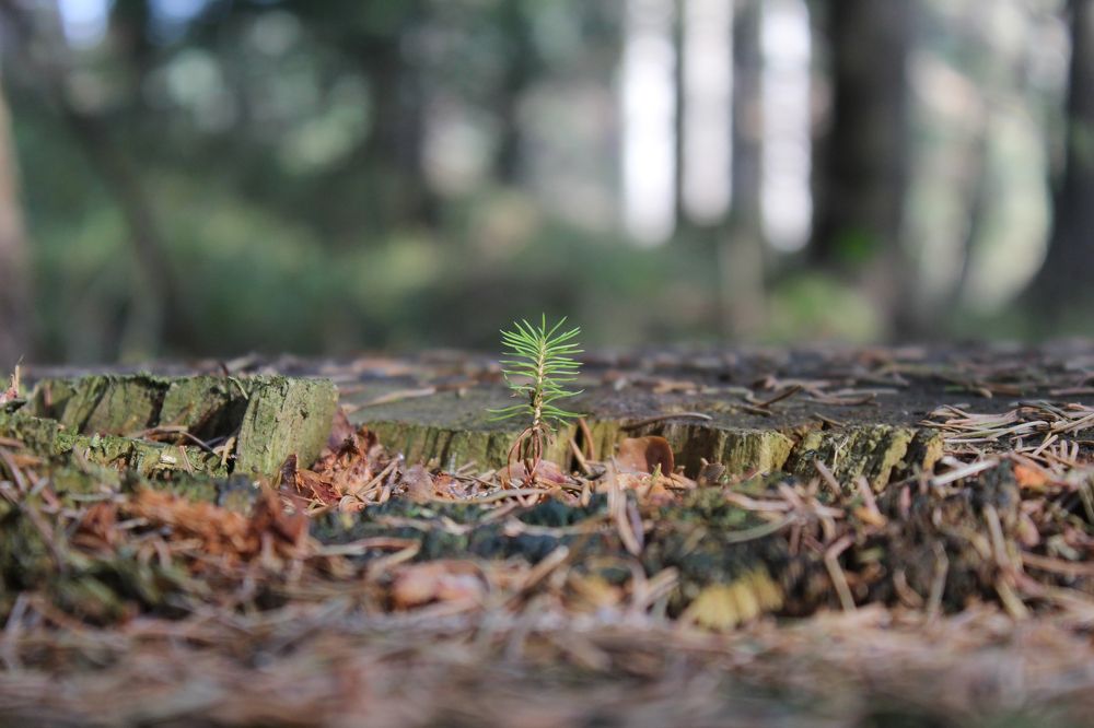 New chance-One new Life