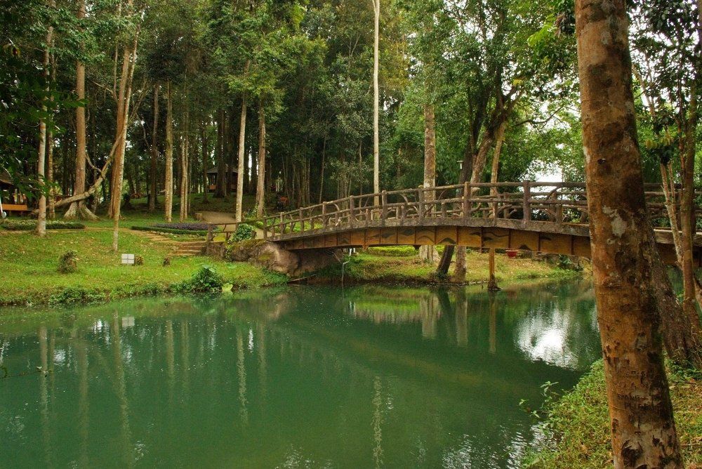 Photograph by Алексей Марков