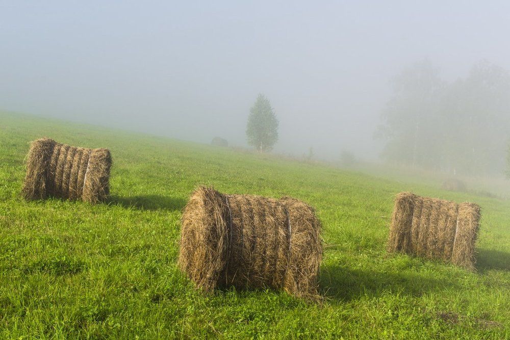 Стога в тумане