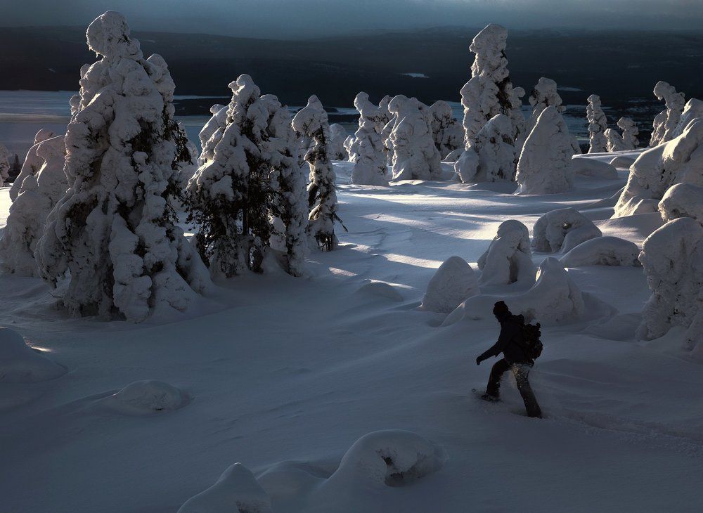 В стране великанов