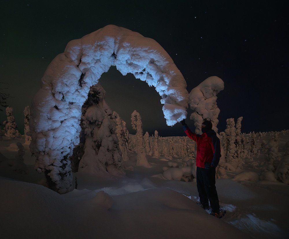 Из мира снов