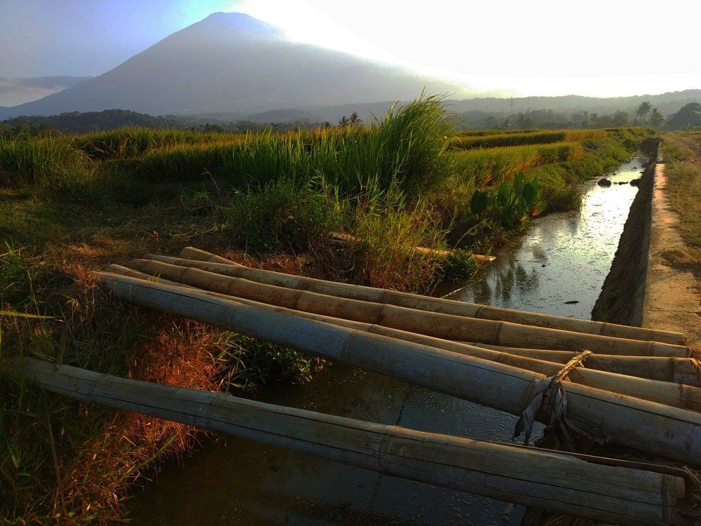 Absolete Bamboo Bridge