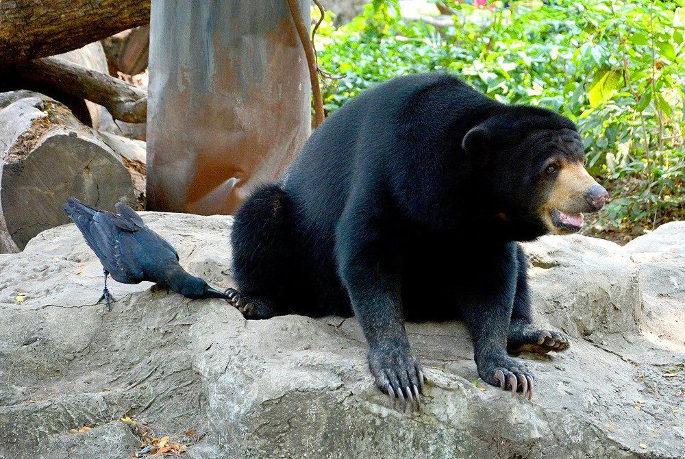 На приеме у мастера педикюра