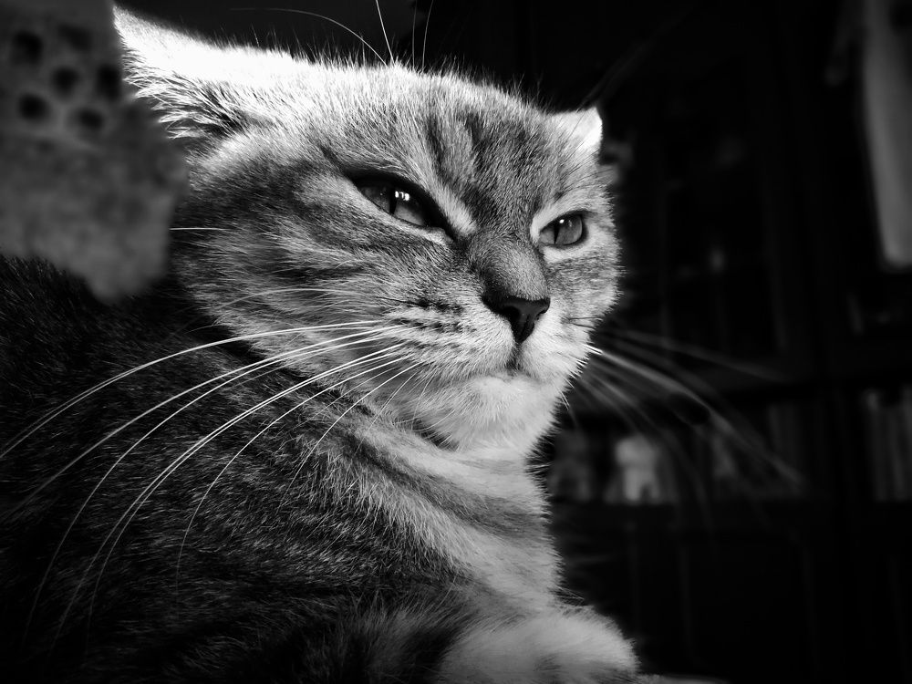 Я вами недовольна!!!!