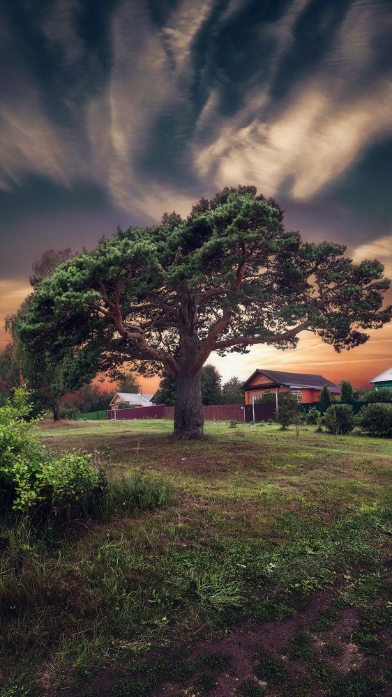 Деревня "Жемчужная"