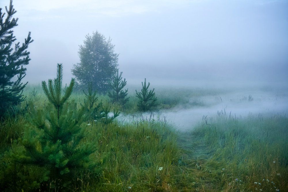 Нерехта, вечер