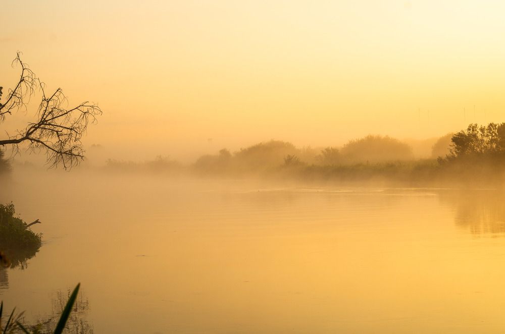 Photograph by Евгений Новицкий