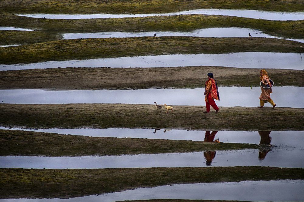 Beauti of Bangladesh