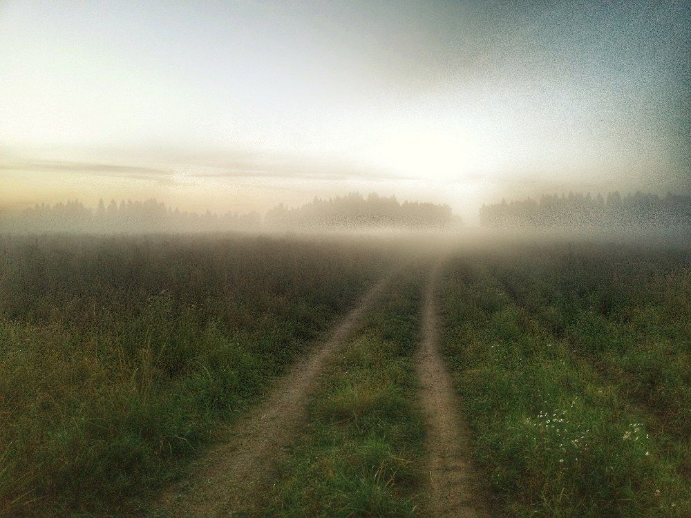 дорога к свету