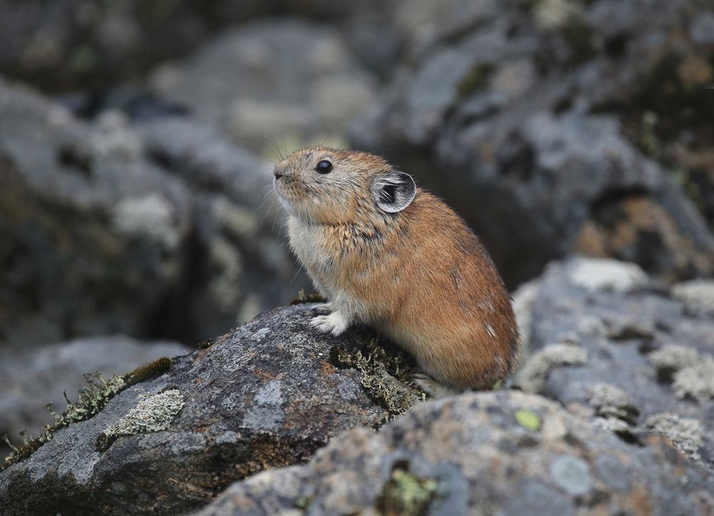 А она сидит и улыбается