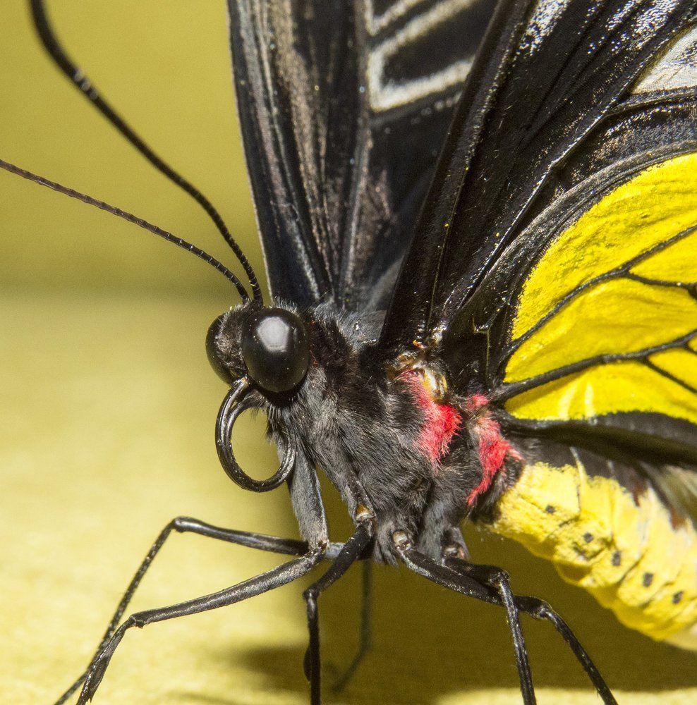 Или вам не нравится наше угощенье?