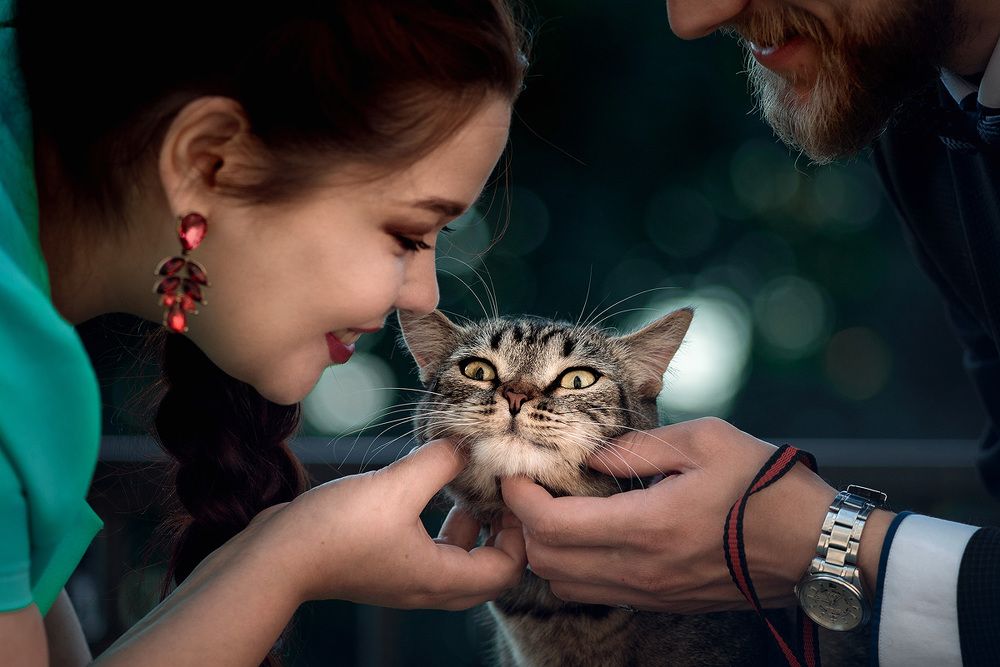 Тайгер with love