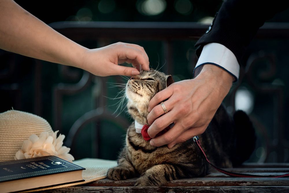 Тайгер with Love