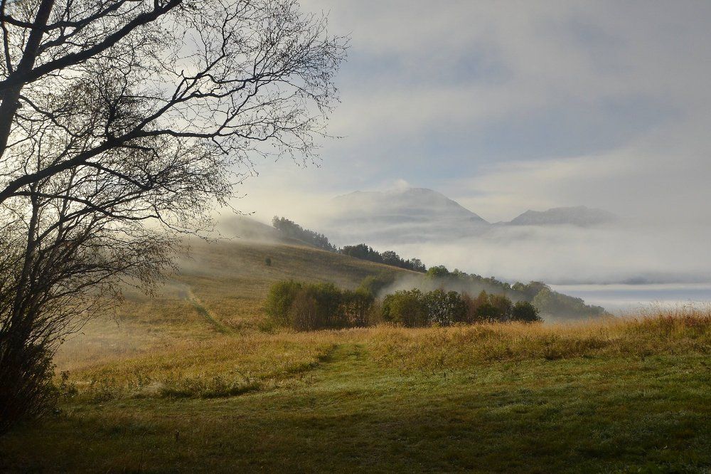 Заповедными тропами