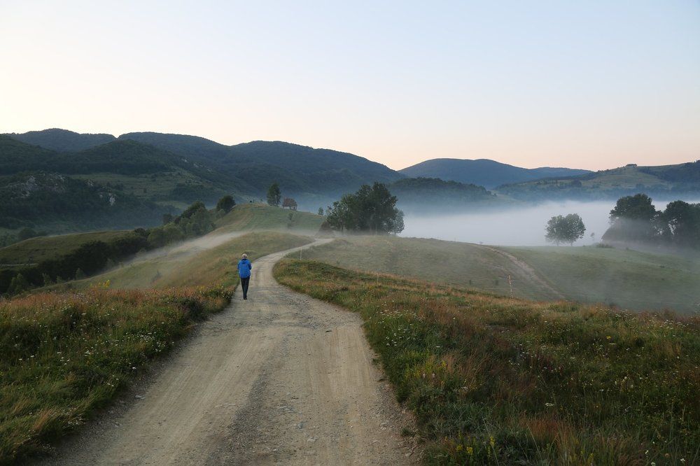 the fog photographer