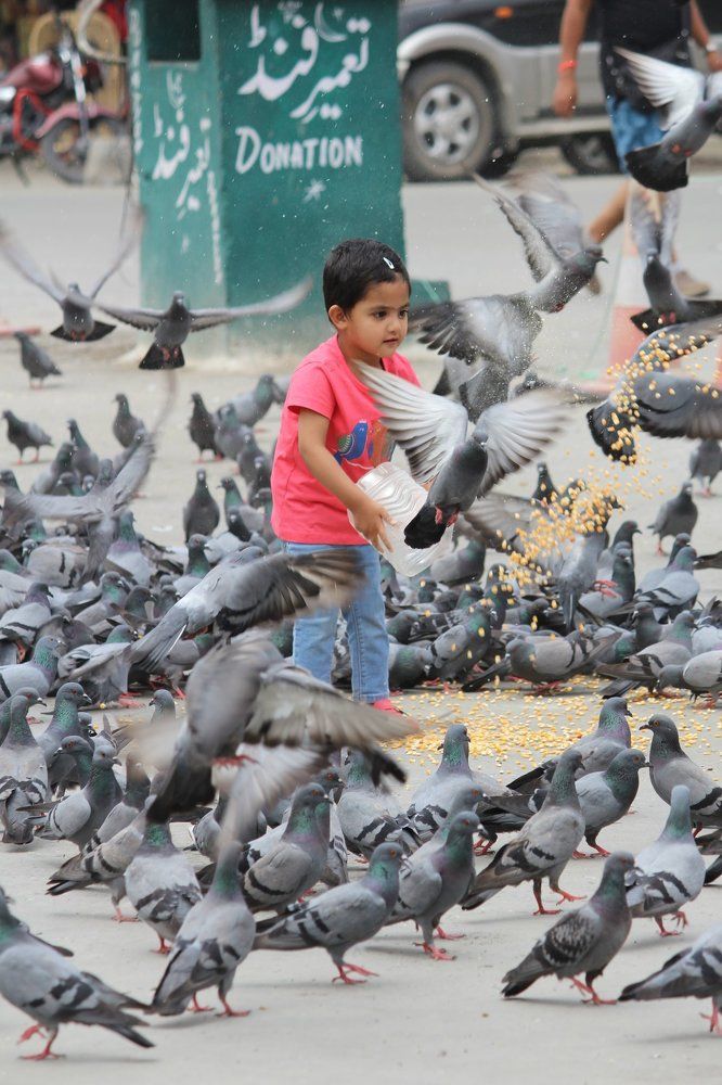 Environmental potrait