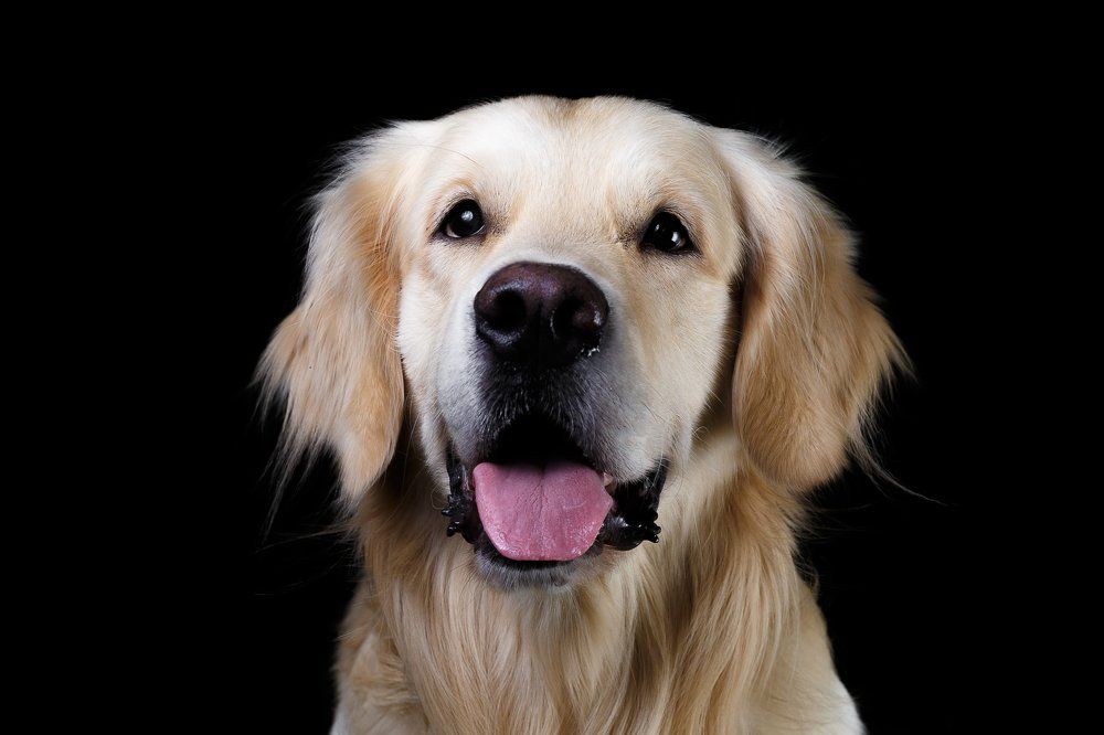 Photograph by Ильяс Бекмансуров