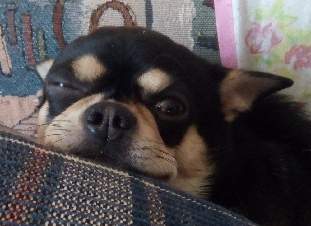 Вы думаете, я сплю?