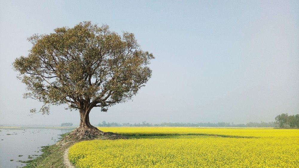 Beautiful Bangladesh