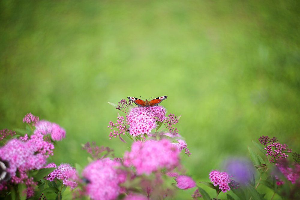 На старт, внимание...