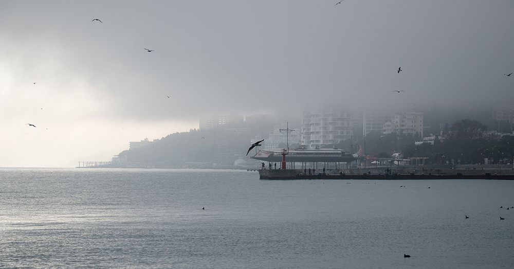 В Ялте туман