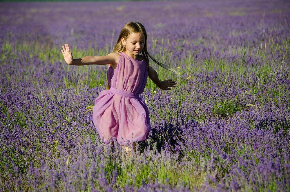 Эльф на лавандовом поле