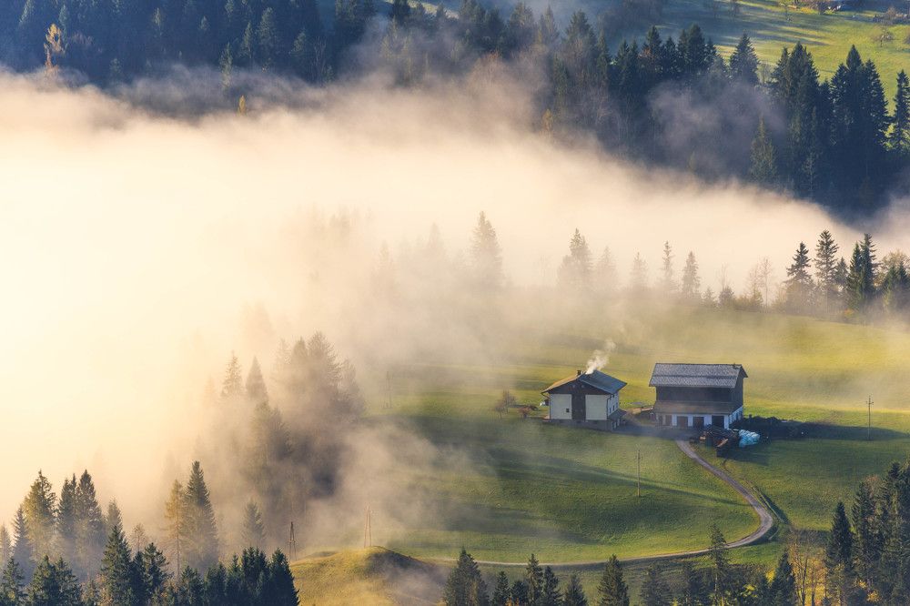 Домик и туман