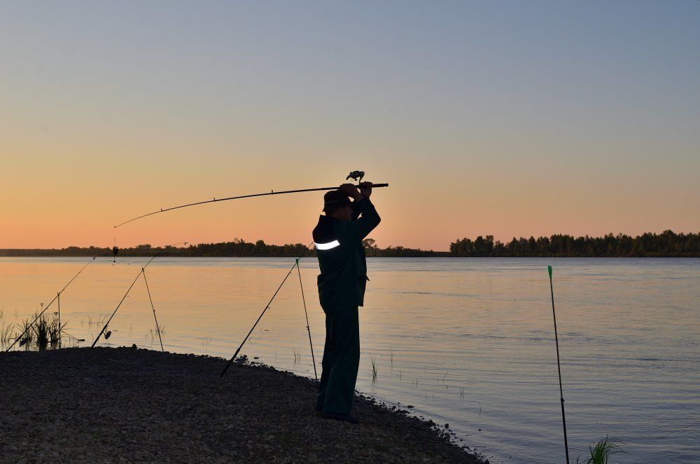 Утро на рыбалке