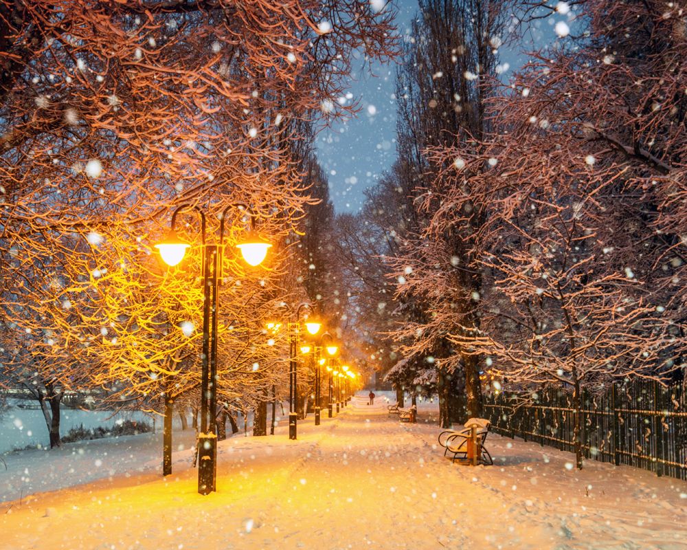 Утренний снегопад