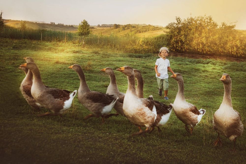 Лето в деревне