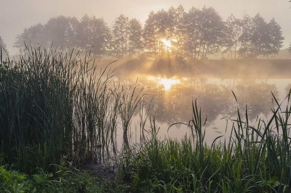 Пламя разгорается