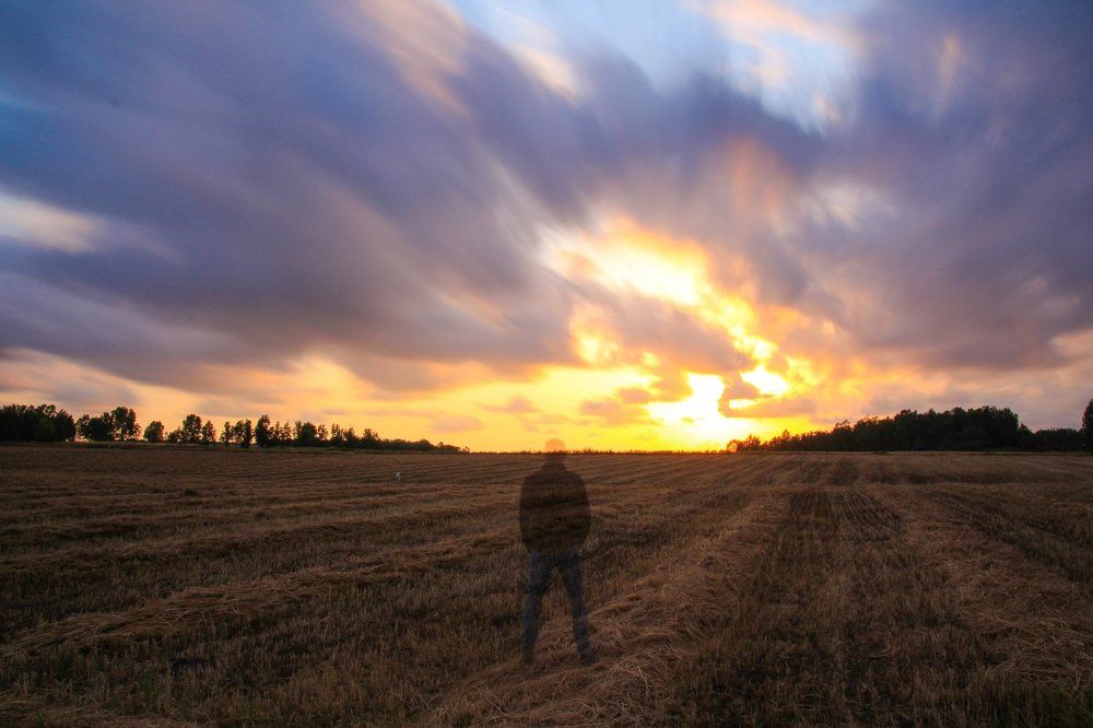 Свободен как ветер