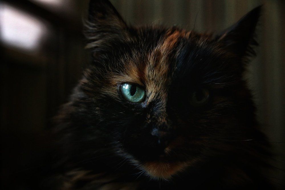 Photograph by Анжелика Сидорова