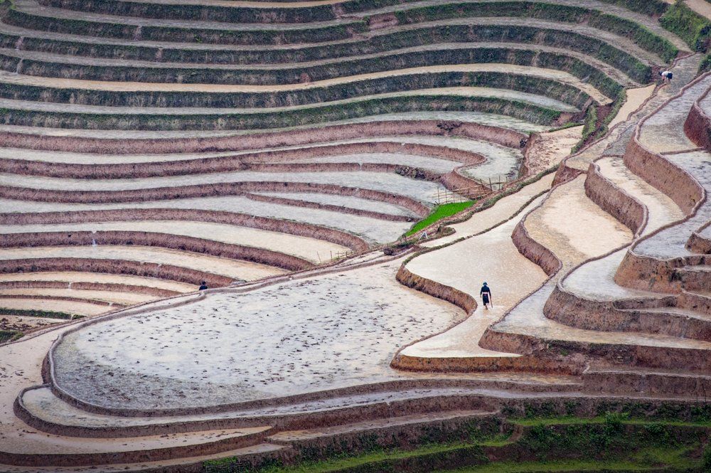 Preparing for new crop